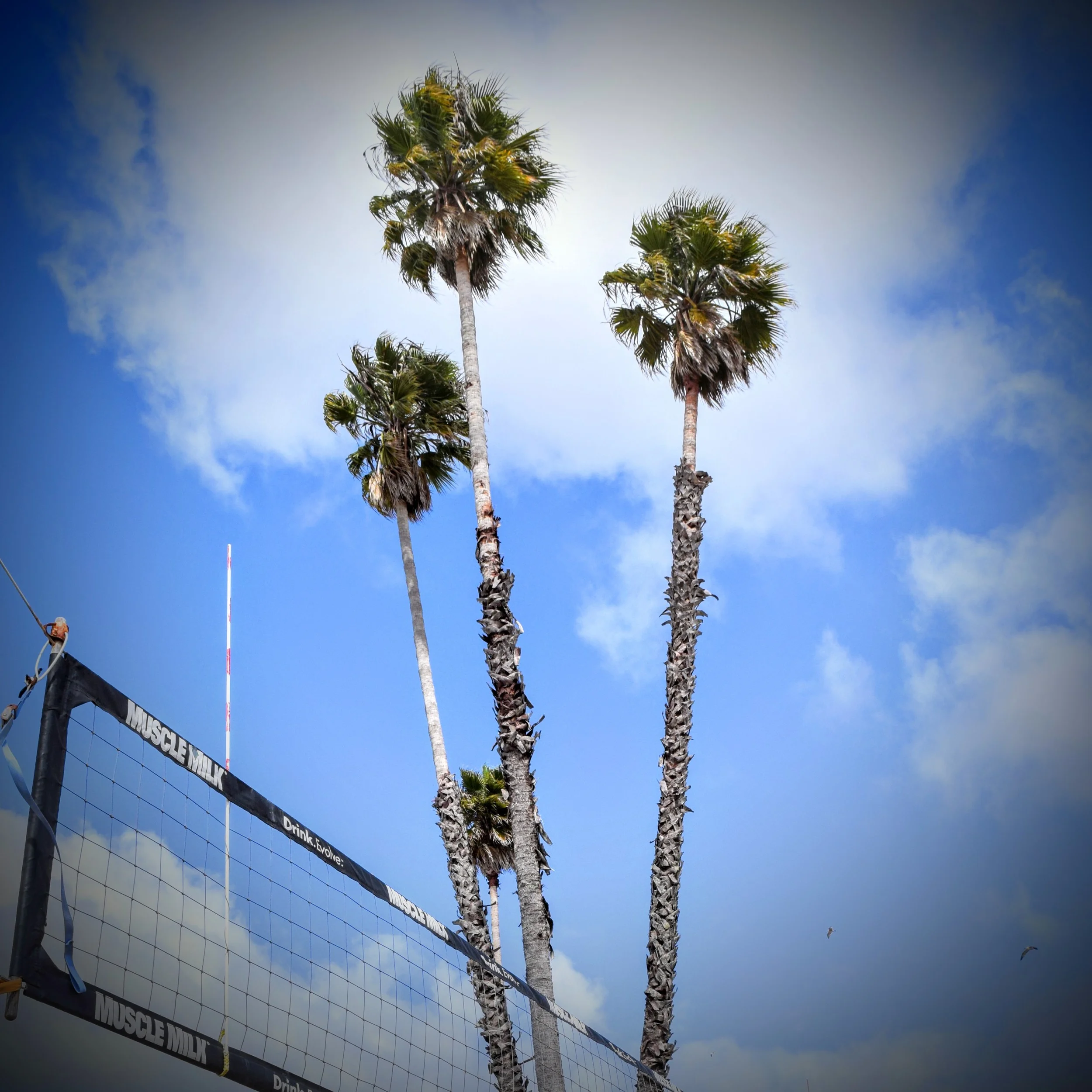 Main Beach Needs Your Input