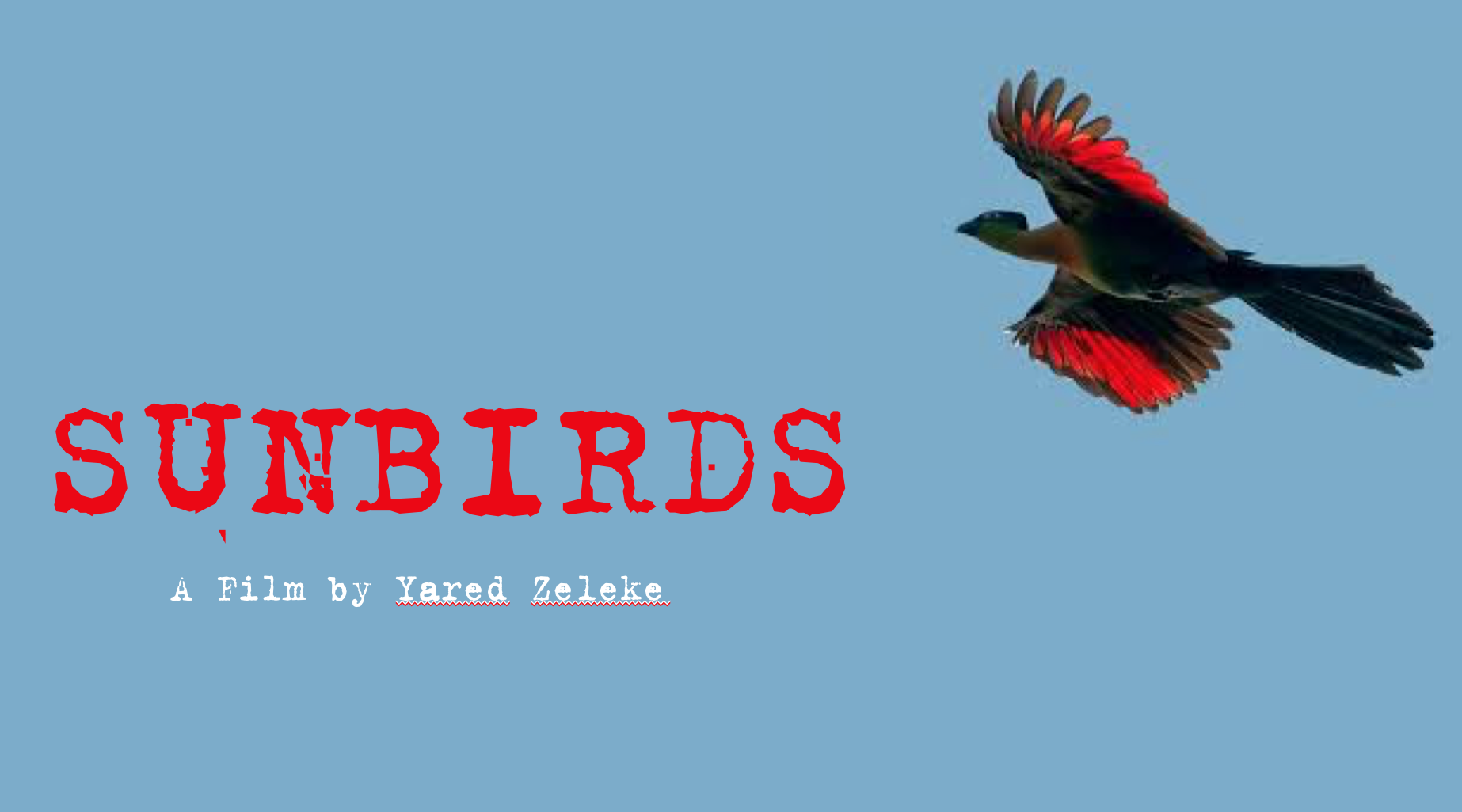 Sunbirds cover .png