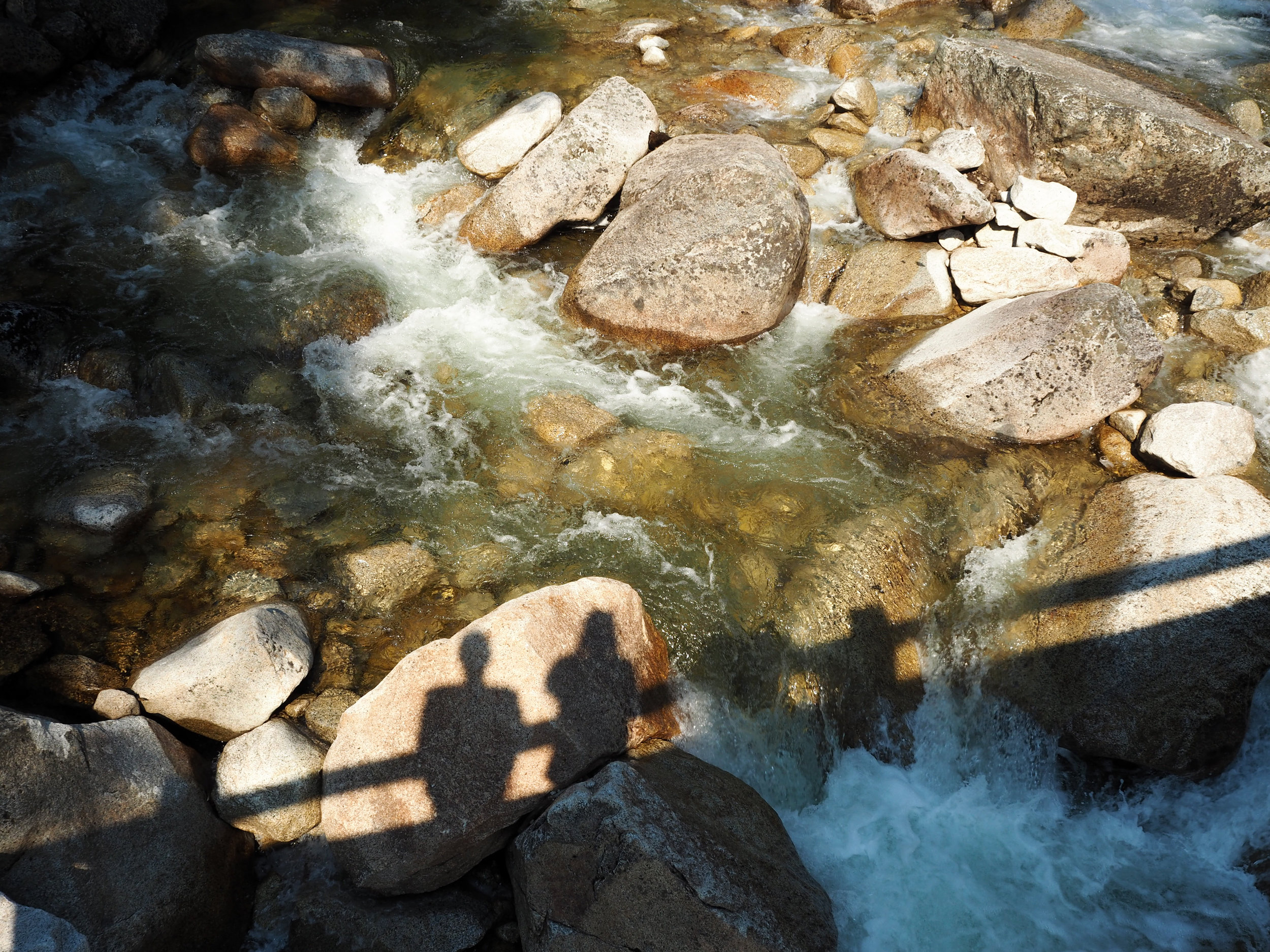 P8091742-Edit.jpg