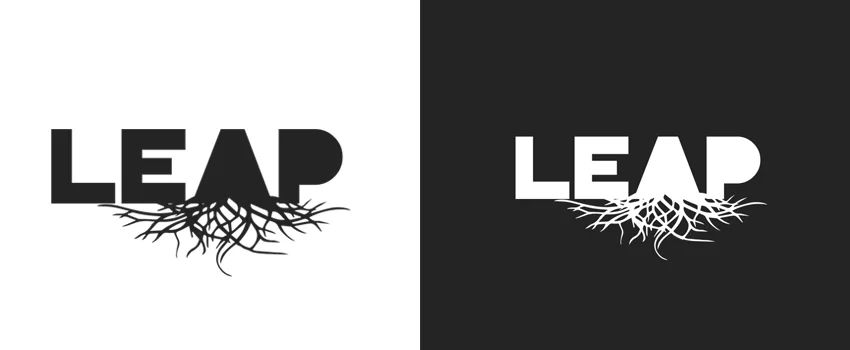 LEAP_2a.jpg