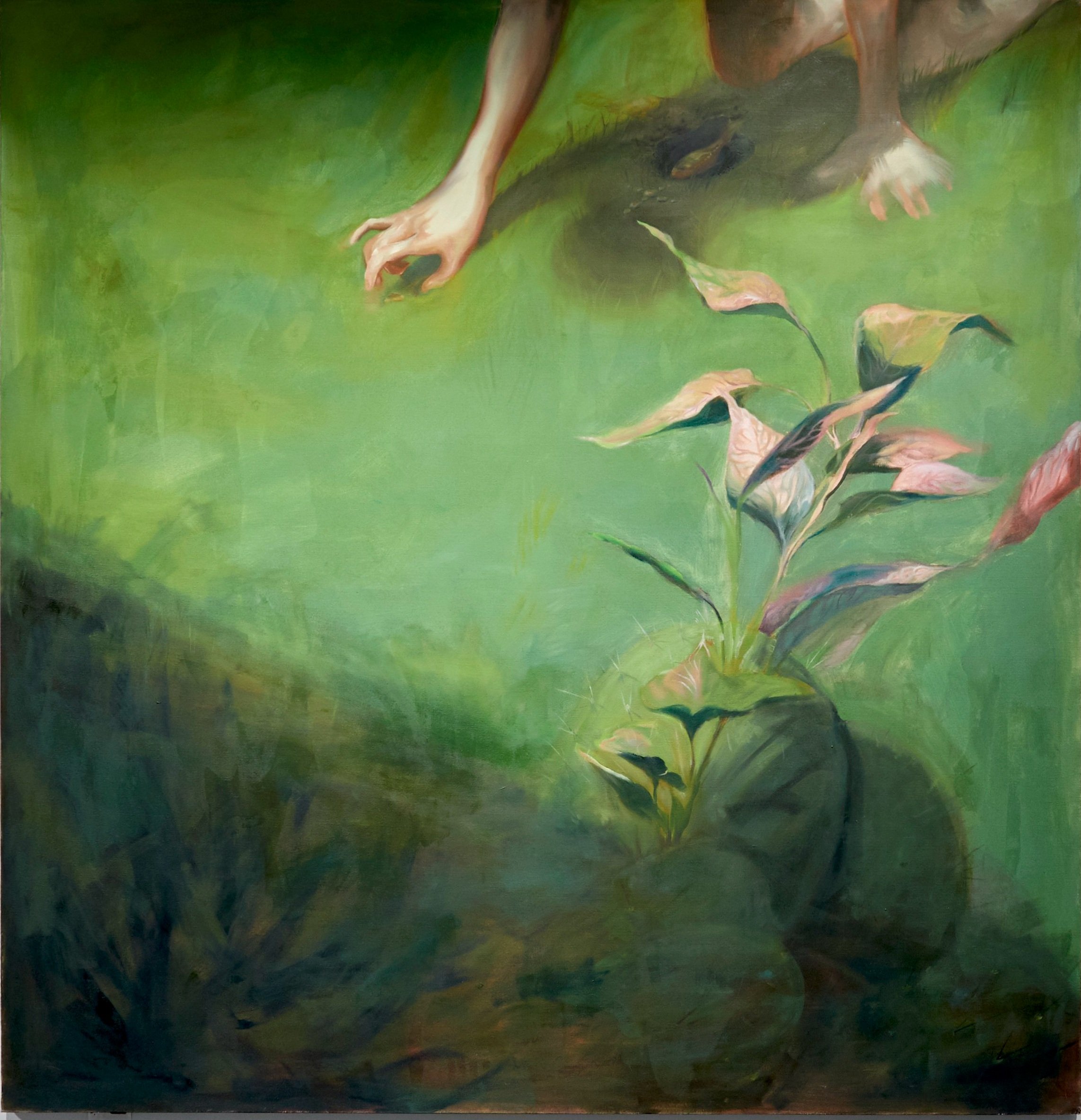   Amy Tidwell ,  Back Garden , 2021, Oil on canvas,  72 x 70 in. 