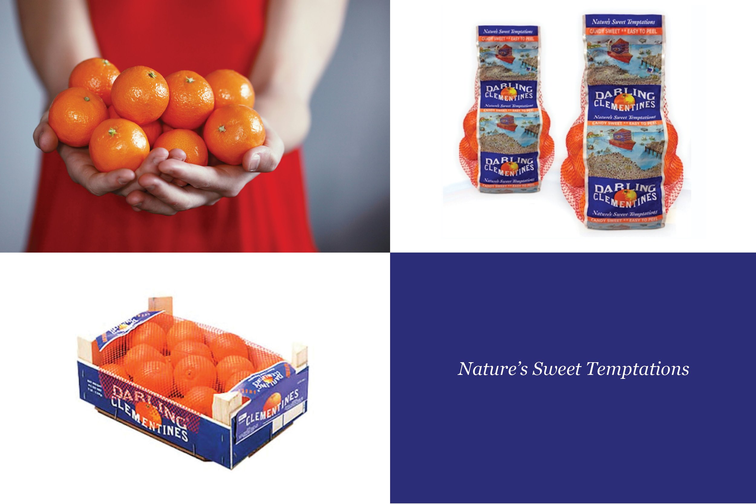 Darling Clementines Web Pages3.jpg