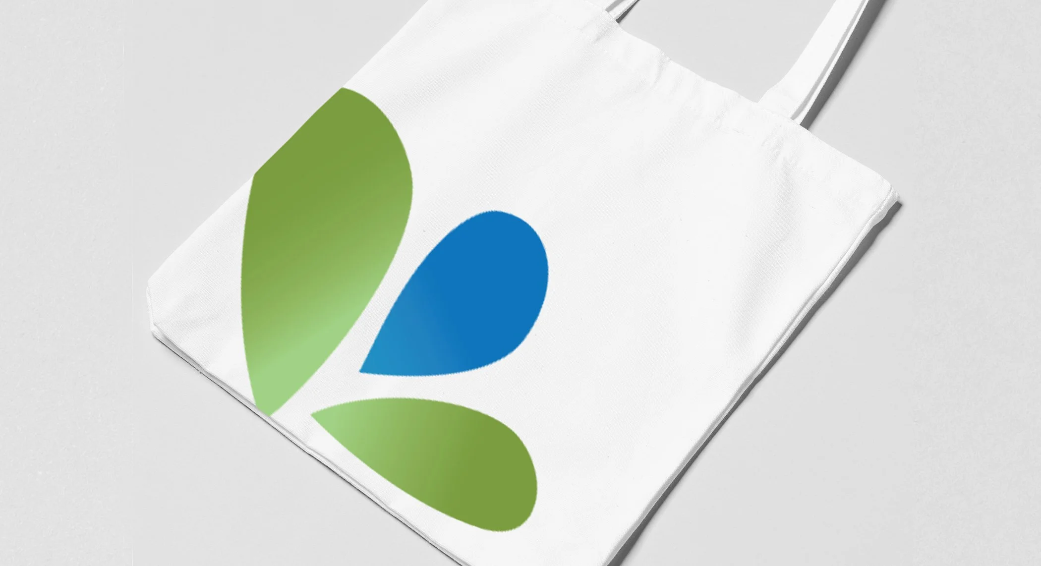 Tote Bag.jpg
