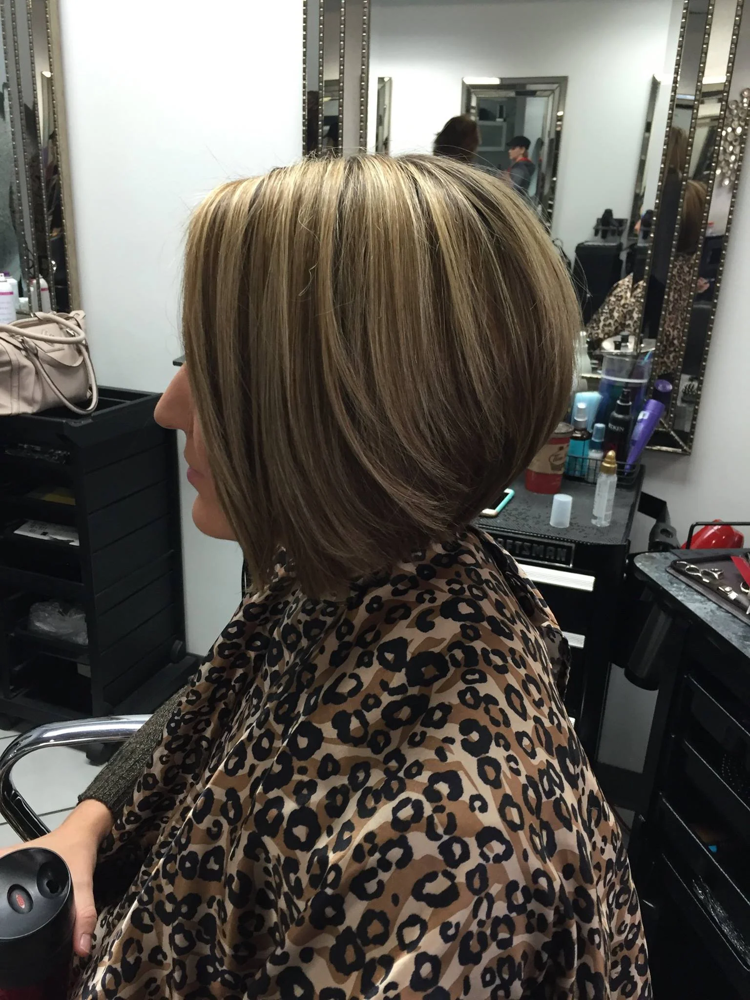 shorthairdown.jpg