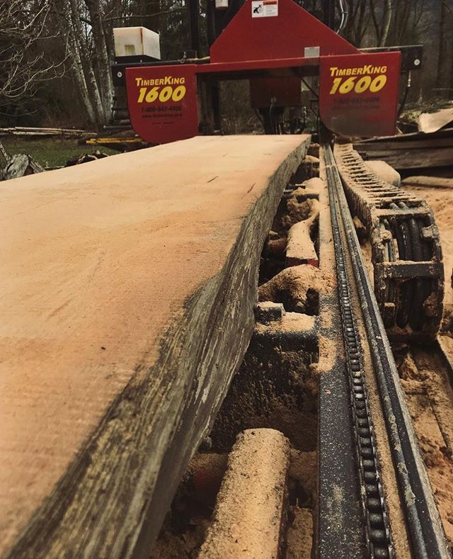 Old growth Doug Fir that used to be a steam donkey for a turn of the century logging outfit.

#sedrowoolley #sawmilling #sawmillingbusiness #sawmillbusiness #sawmill #localwood #liveedge #liveedgetable #ironmountain #ironmountainsawmilling #skagit #w