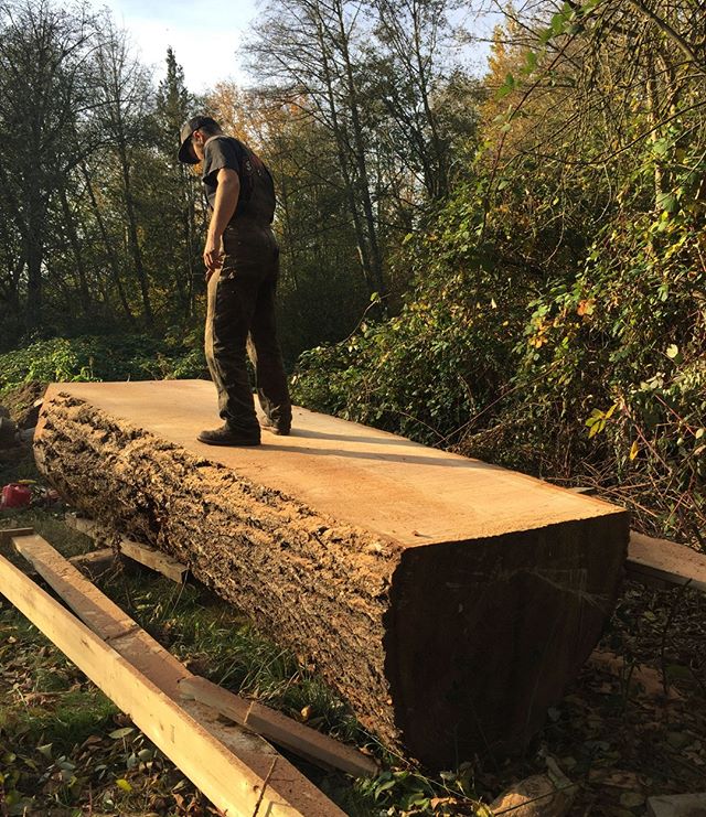 Getting lost in the grain of this massive fir. 
#myvalentine #sedrowoolley #sawmilling #sawmillingbusiness #sawmillbusiness #sawmill #localwood #liveedge #liveedgetable #ironmountain #ironmountainsawmilling #skagit #whatcom #bellingham #bellinghome #