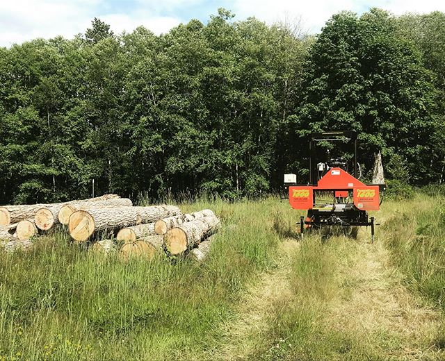 Morning in the city. Afternoon in the county. On to the next. #sawmill #sawmilling #sedrowoolley #timberking #wood #logs #wood #goodwood