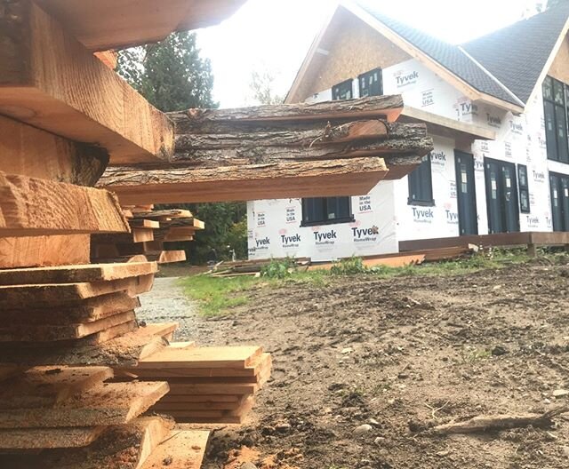 Pile of beautiful cedar cut from the property for a new timber frame home.⁠
⁠
#sedrowoolley #sawmilling #sawmillingbusiness #sawmillbusiness #sawmill #localwood #liveedge #liveedgetable #ironmountain #ironmountainsawmilling #skagit #whatcom #bellingh