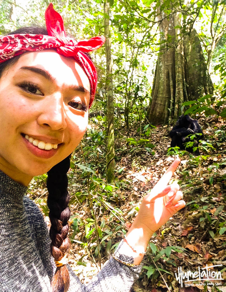 梅丽莎指着黑猩猩。Kibale国家森林，乌干达。