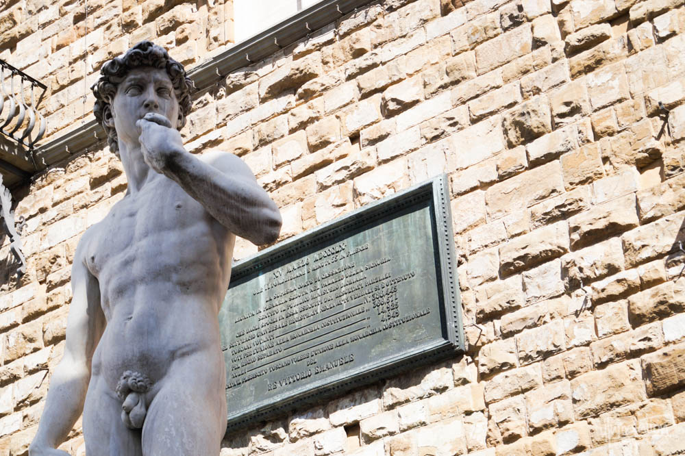 Michelangelo David。佛罗伦萨,意大利。复制广场Signoria。