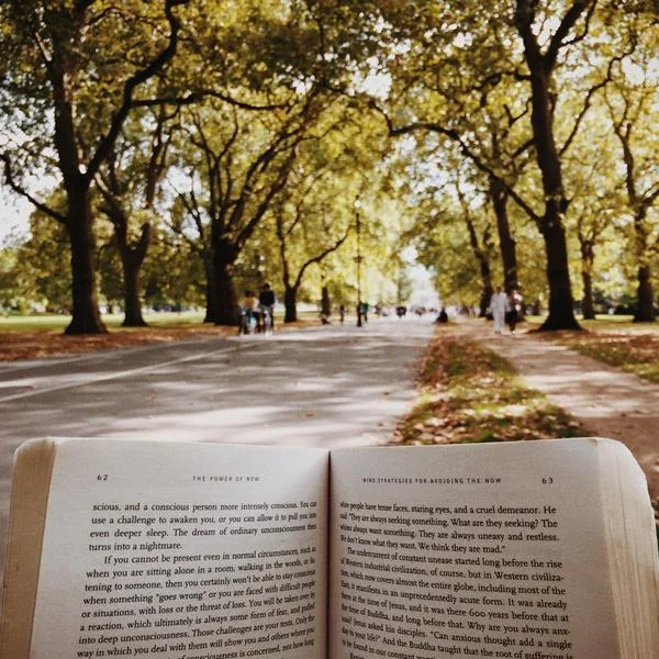 London: A Local's Guide to Enjoying London in the Spring-Time ...