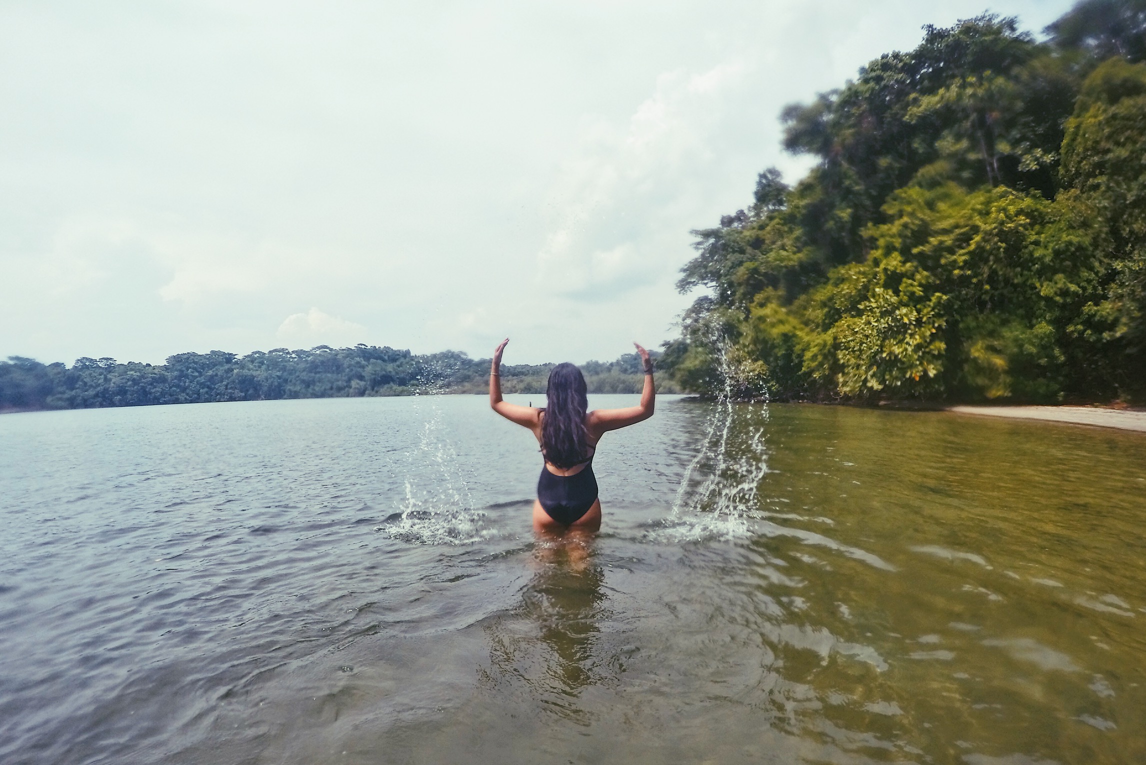 Mangrove Reef Forest in Subic Bay, Zambales Province - Luzon, Philippines