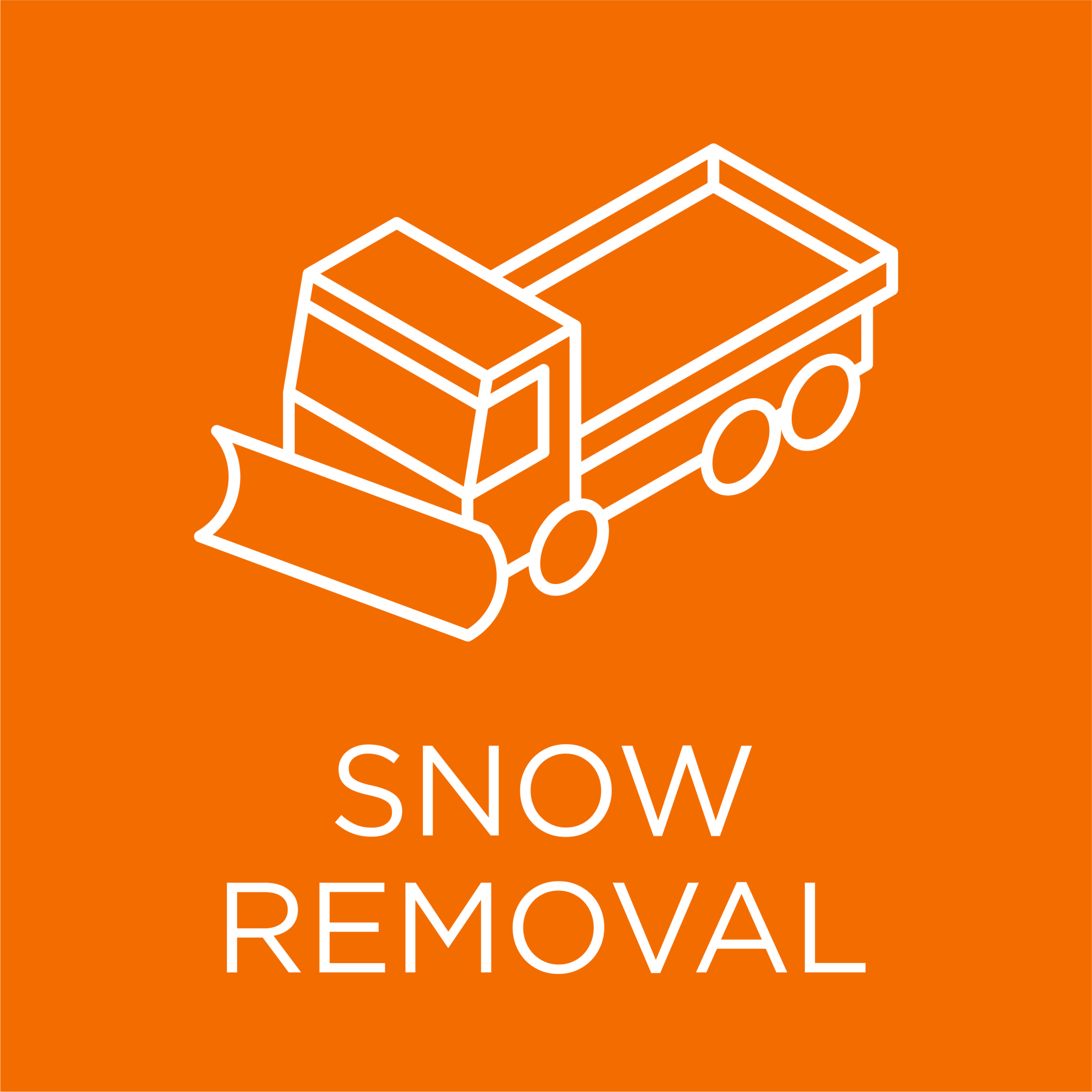 SNOW REMOVAL.png