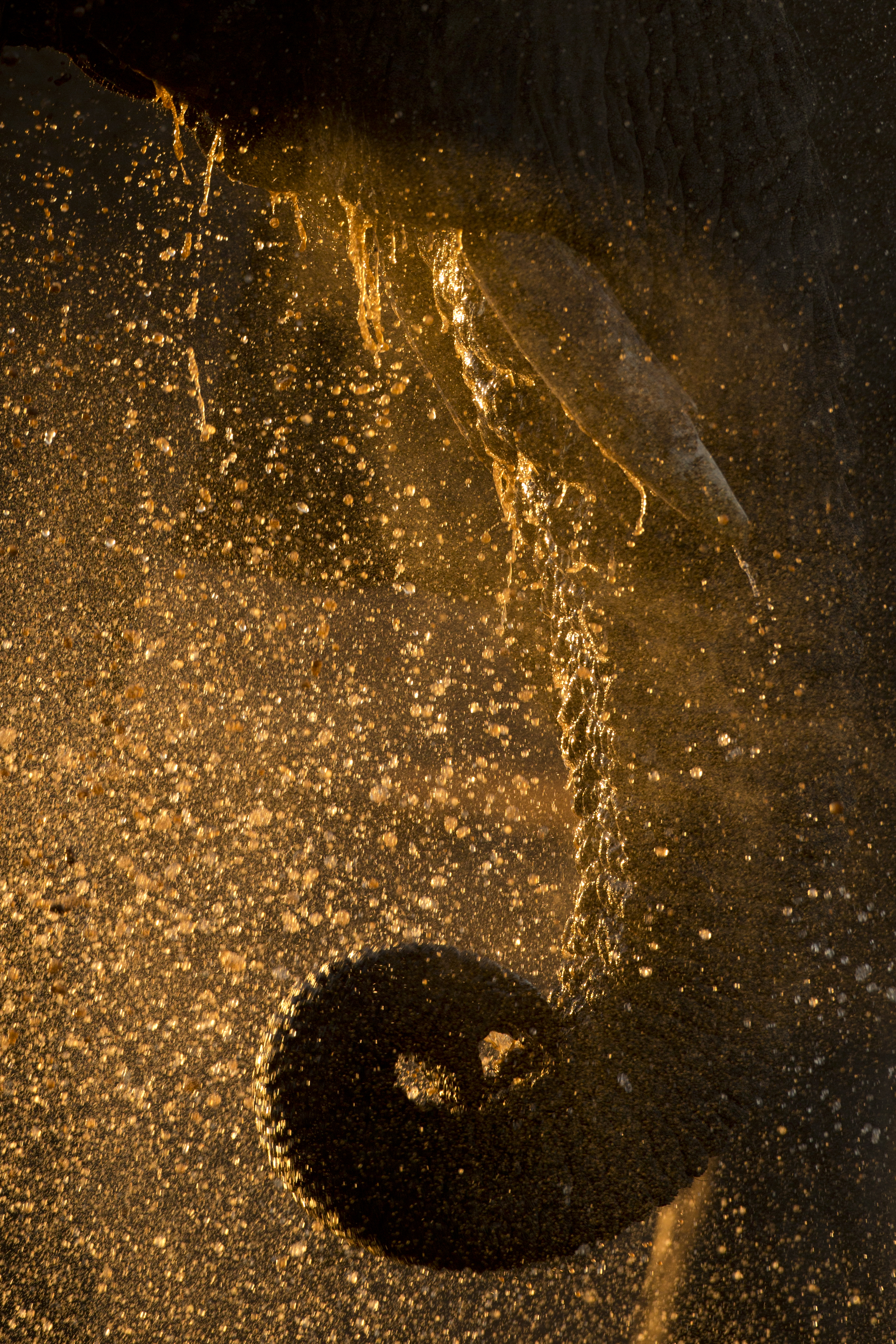 01 ELEPHANT TRUNK DRINKING, KRUGER NATIONAL PARK, SOUTH AFRCIA.jpg