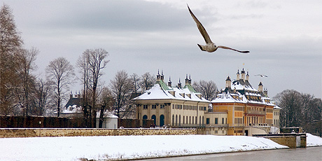 schloss_pillnitz_im_winter.jpg