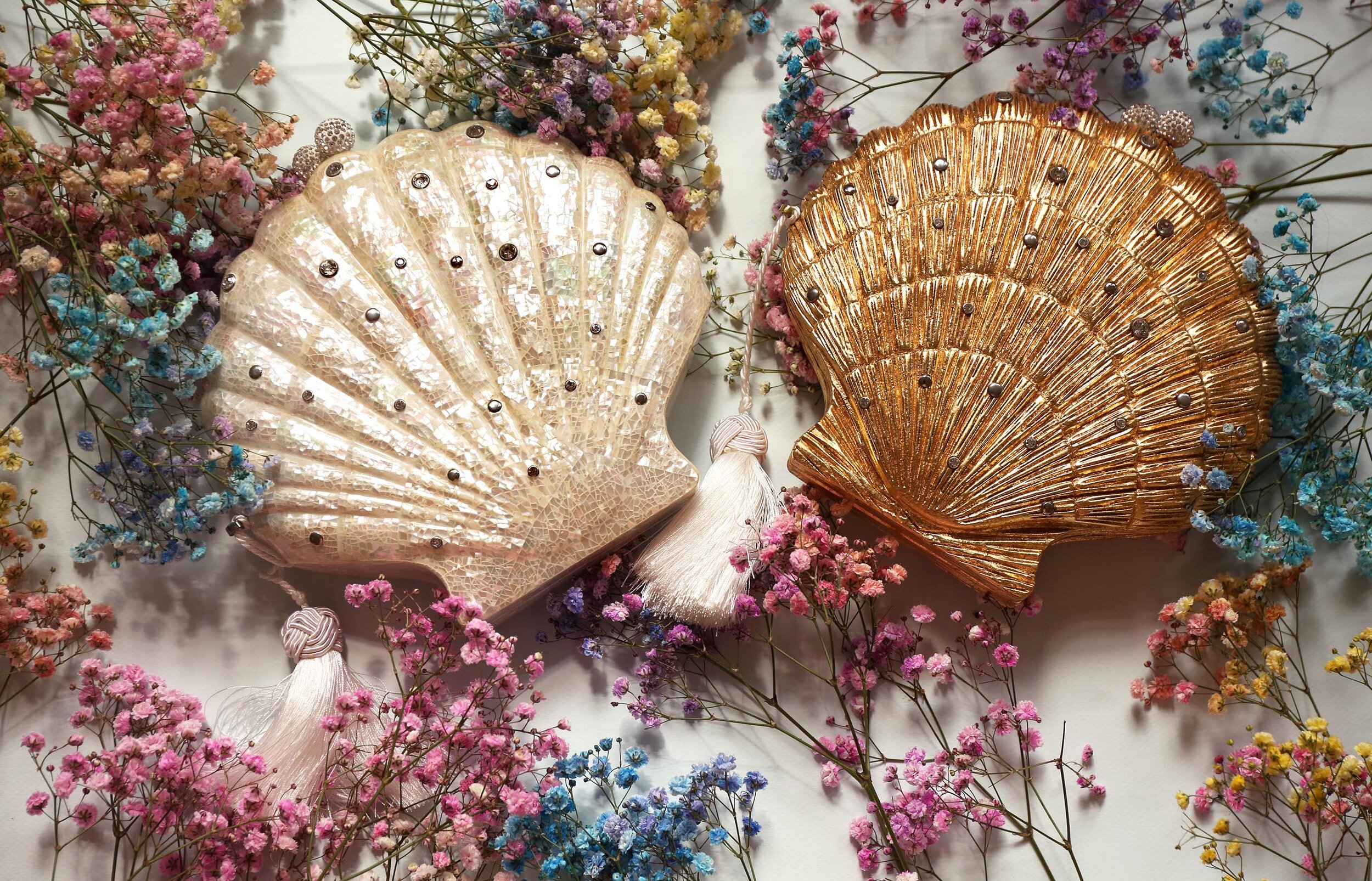 shells2.jpg