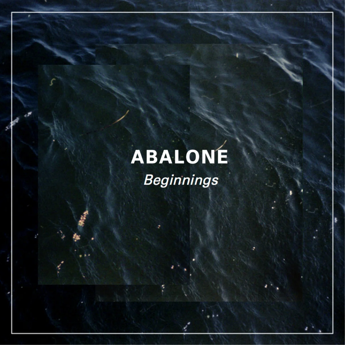 Abalone