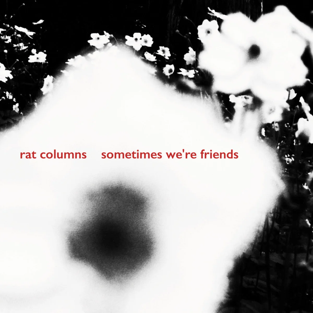 Rat Columns