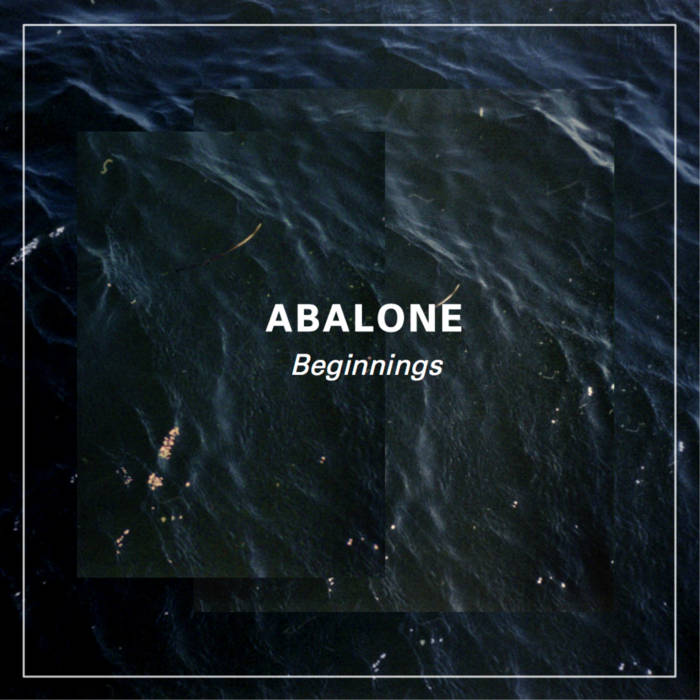 abalone.jpg