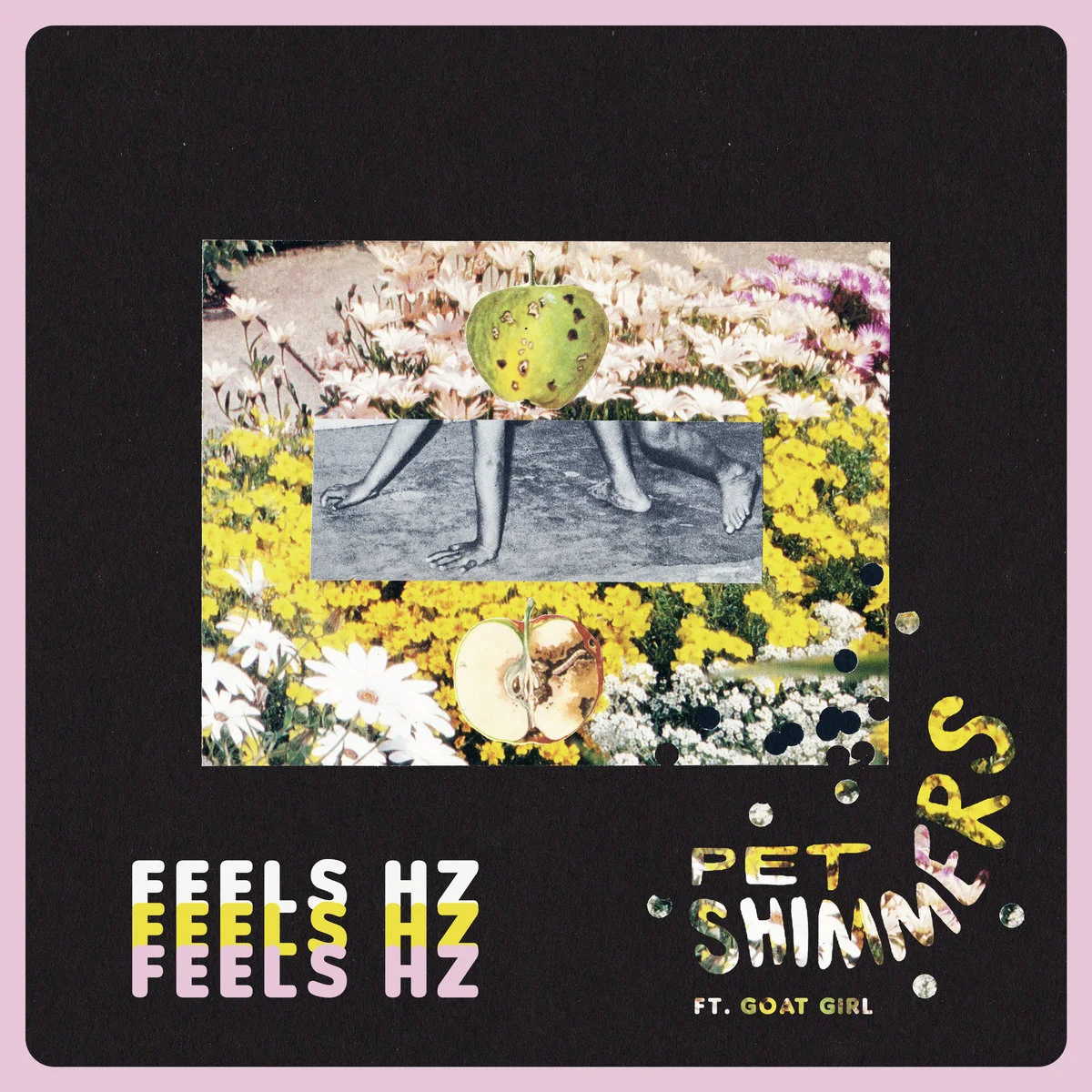 pet shimmers.jpg