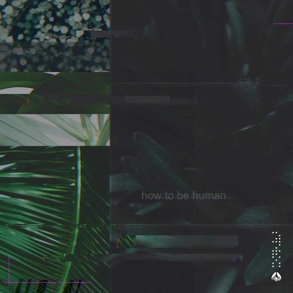 HAELIUM x Mozambique