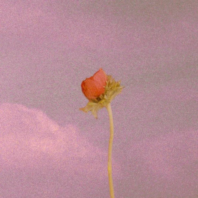 atmos bloom 