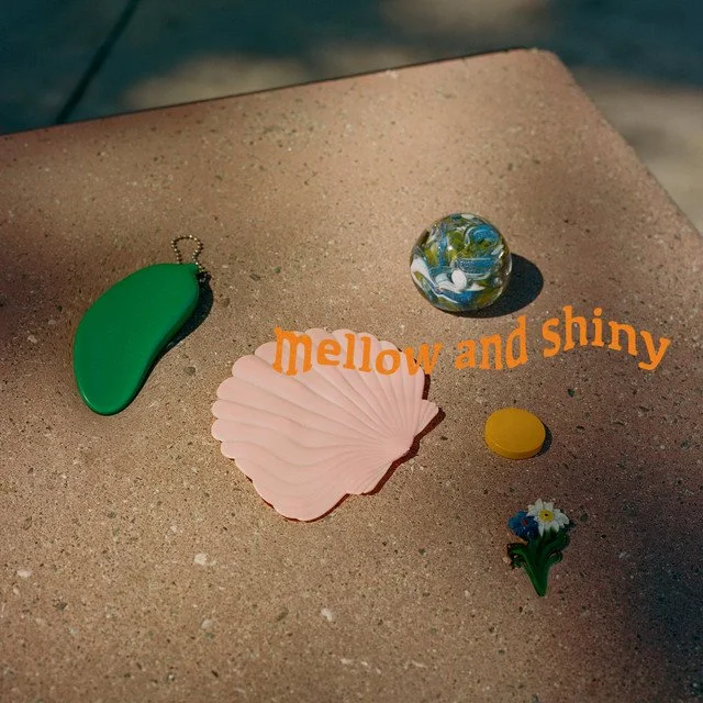 Conflict At Serenity Pools 