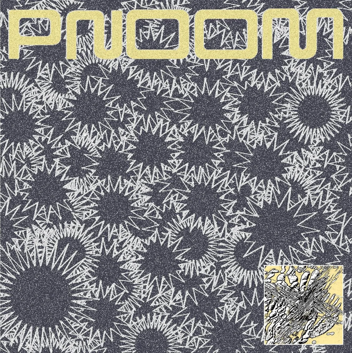 PNOOM