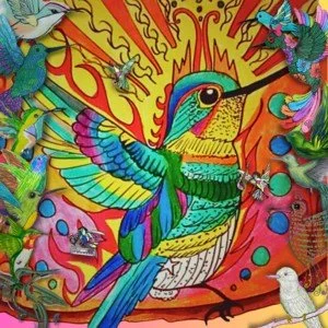 Niteimaginas - Colibrí.jpeg