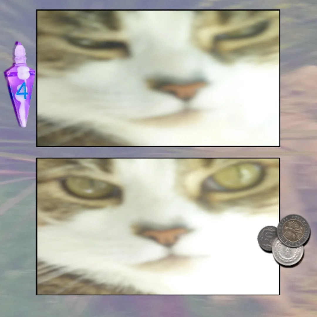 Poor Petal 