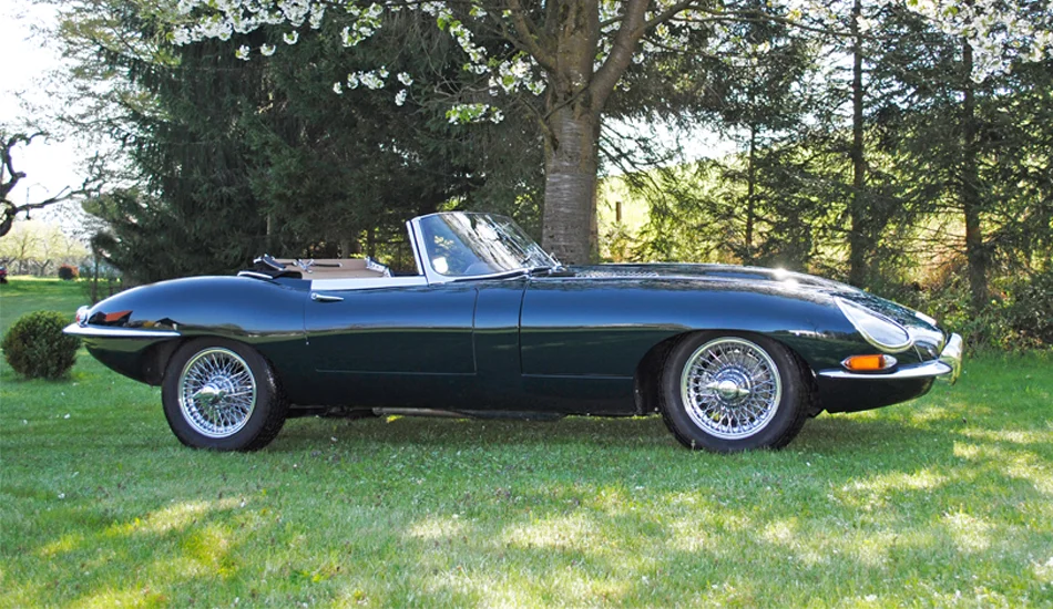 stilsicherer Jaguar