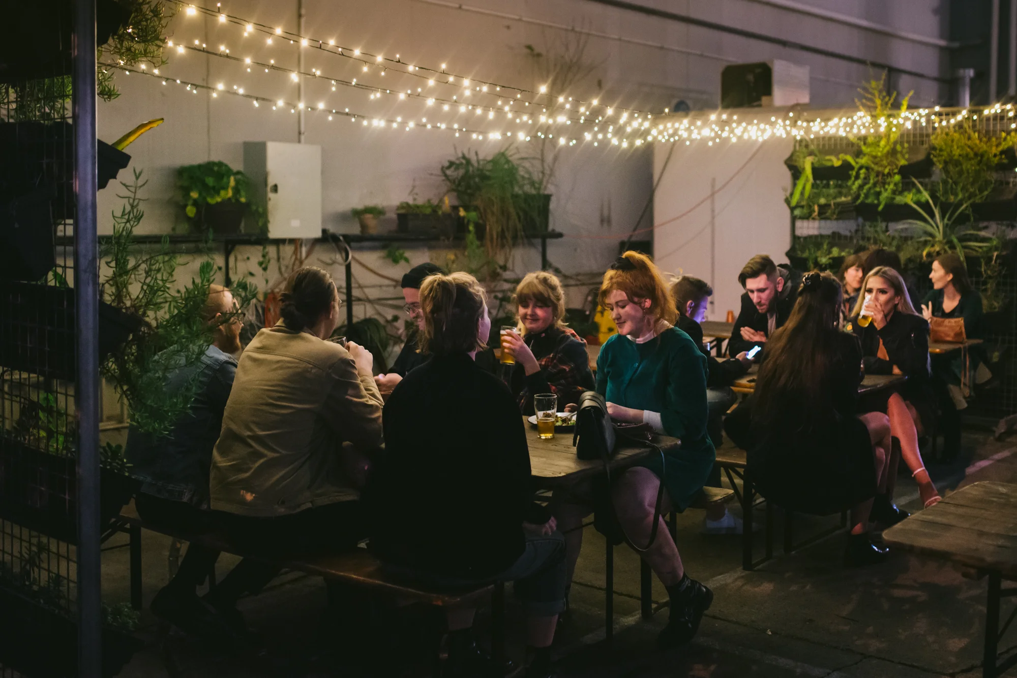Federal Election night 2019 with the QLD Greens