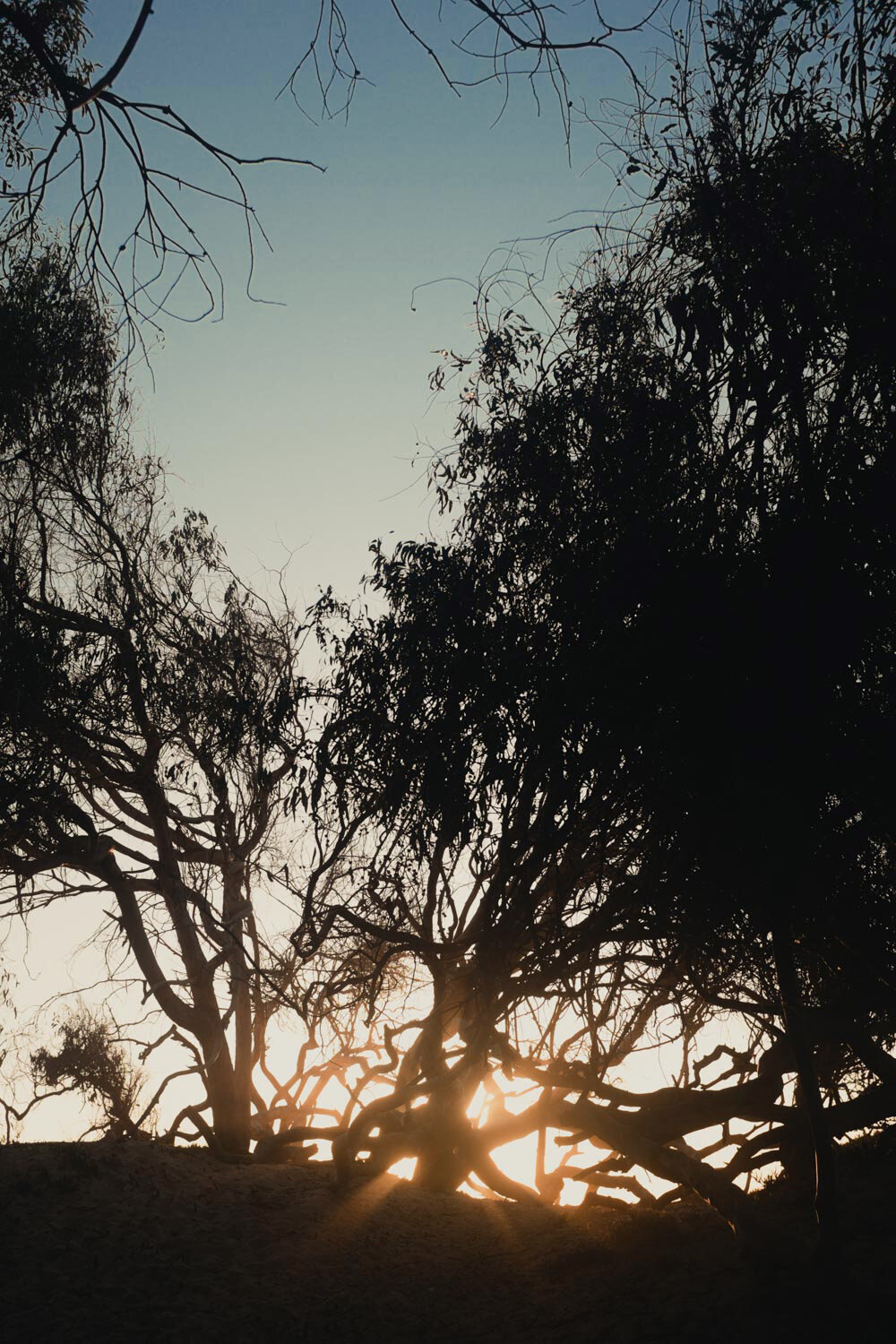 Chumash lands, Turtle Island (Pismo Beach, California)