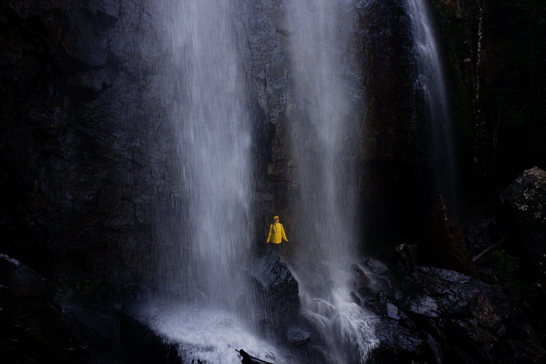 Yugambeh land (Springbrook)