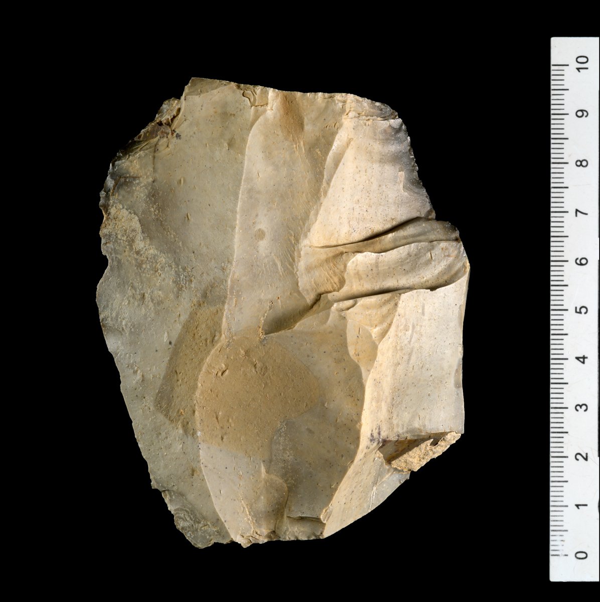 58a.jpg