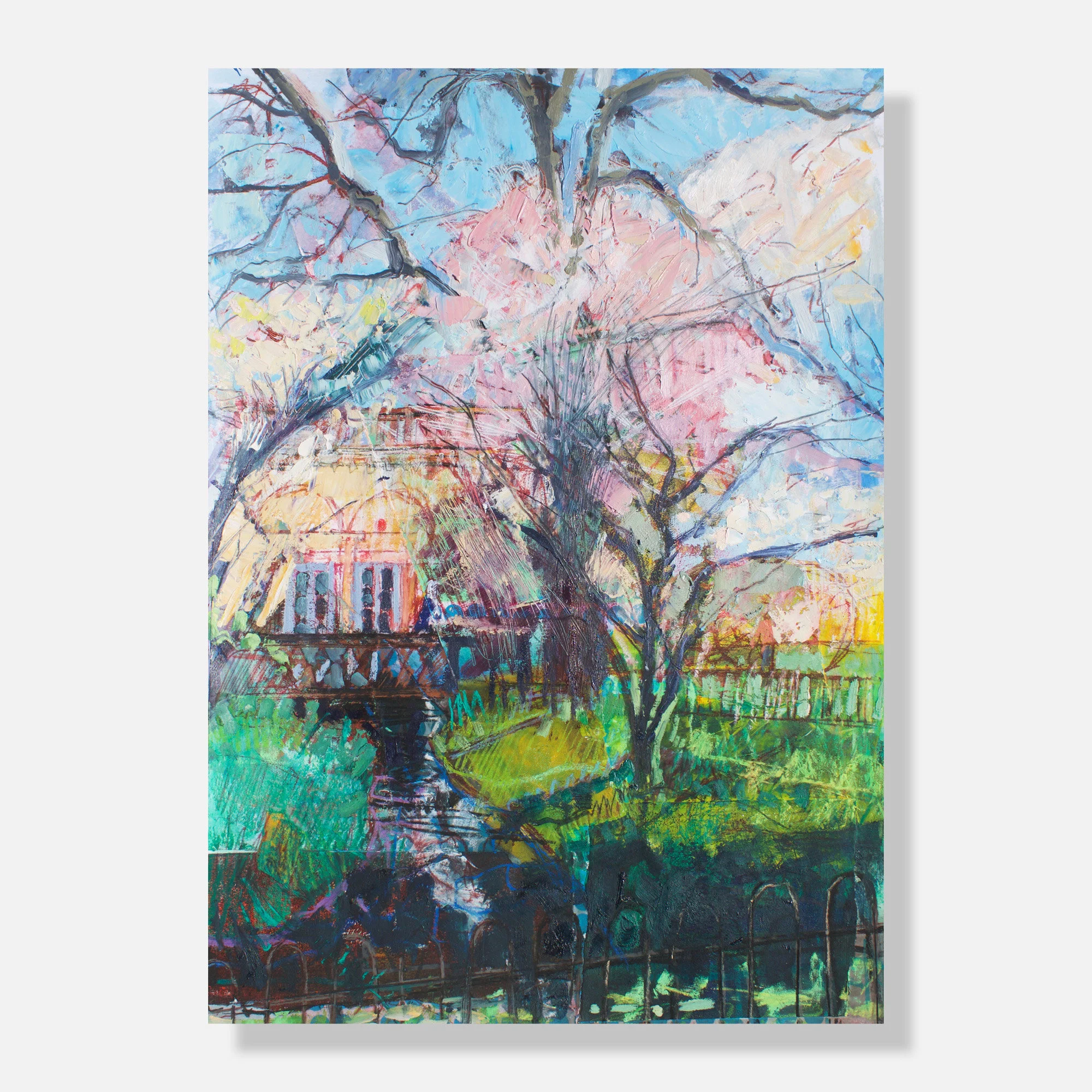 Blossom, Botanical gardens, Bath