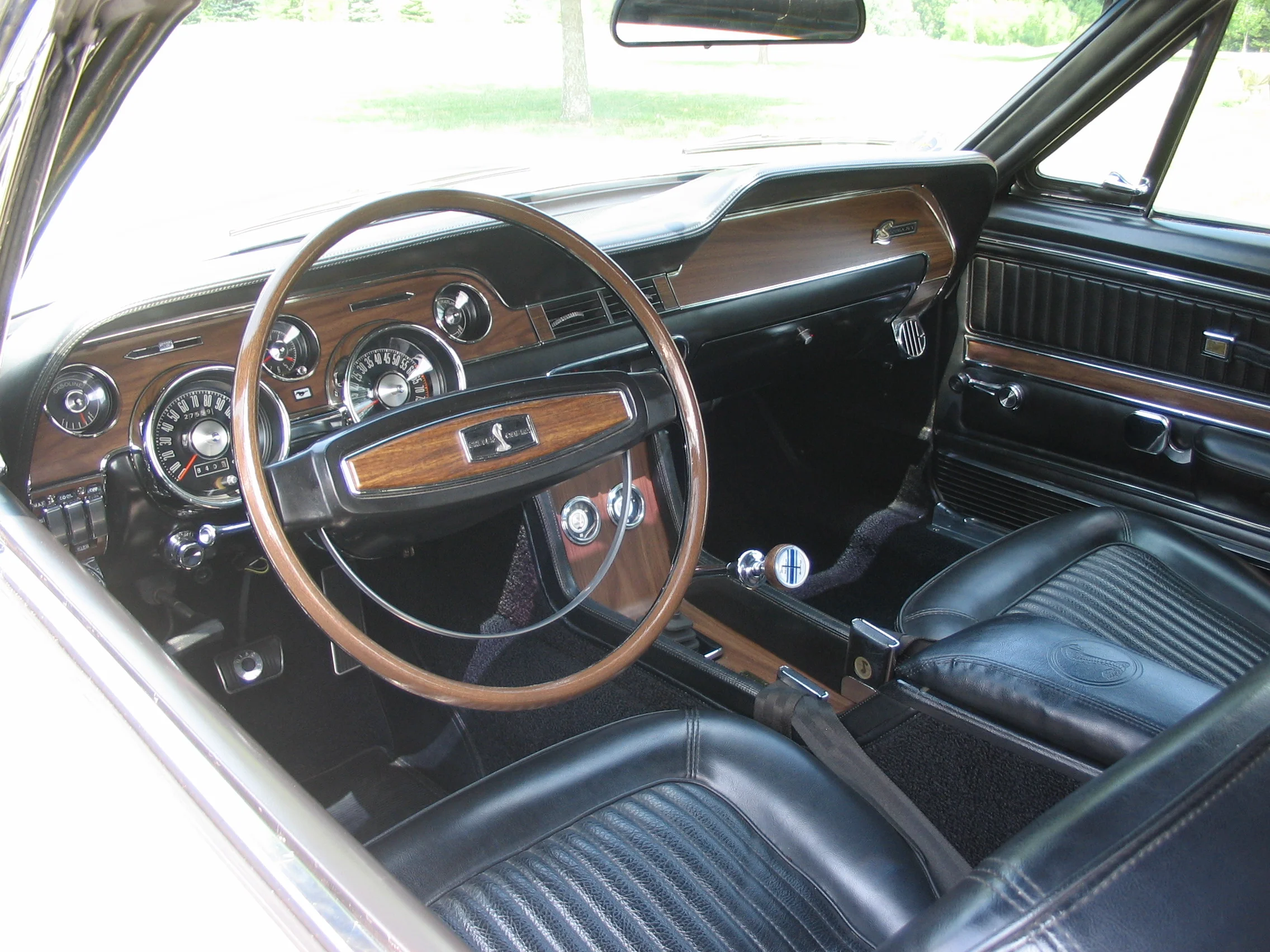Shelby 008.jpg