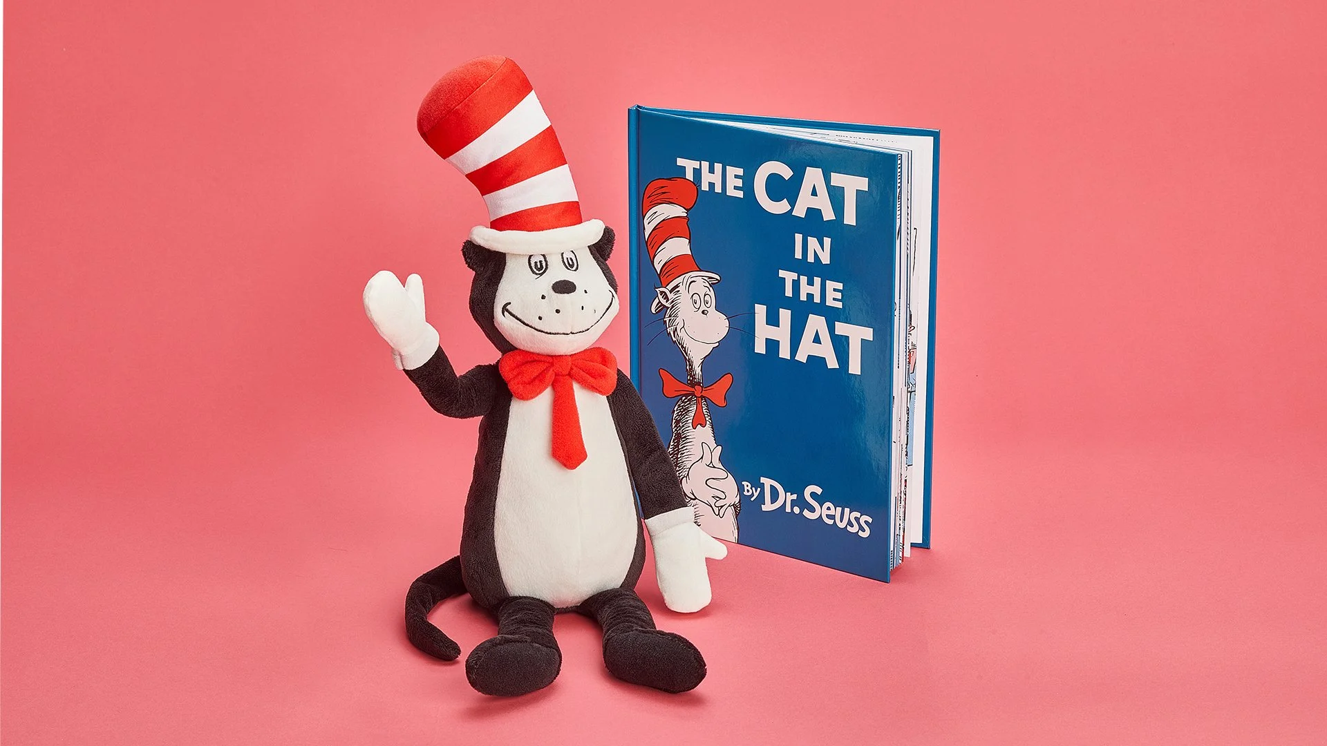 CAMPFIRE_BUILD_0021_SPIRIT_DRSEUSS_CATINTHEHAT&BOOK_2 copy.jpg