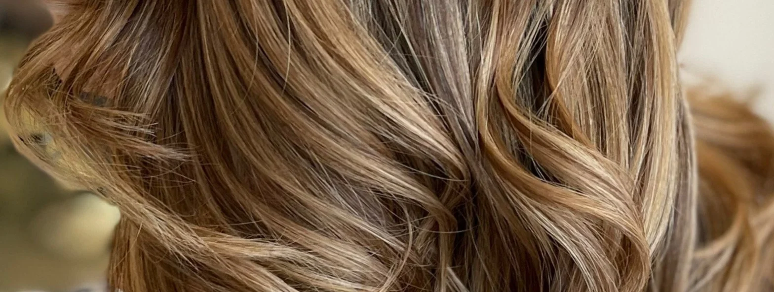 Salon Council Services.JPEG