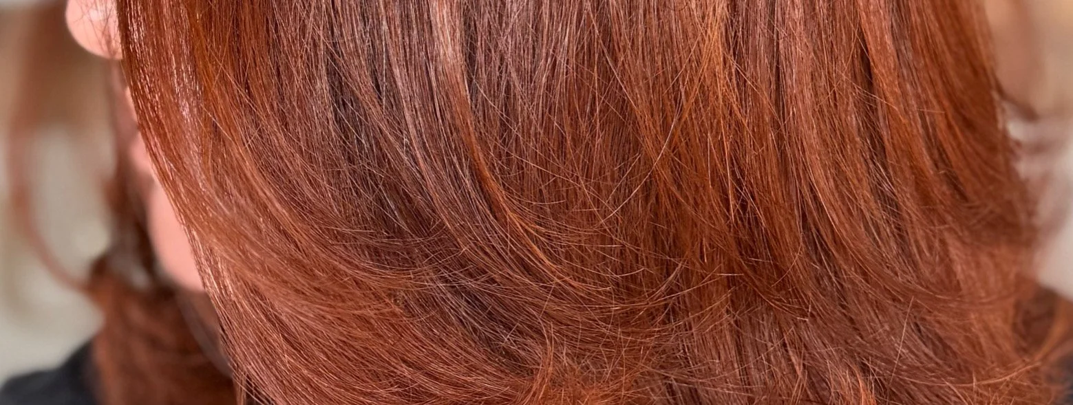 Salon Council Hairstyle 7.JPEG