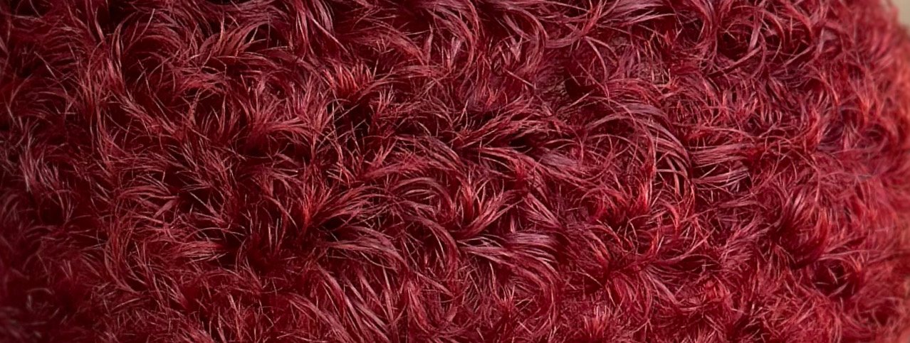 Salon Council Career.JPEG