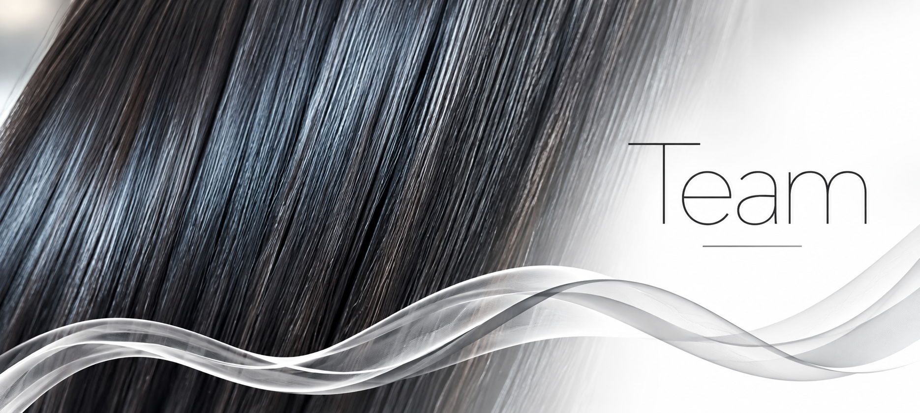 Salon Council Sleek Hair Team Banner.png