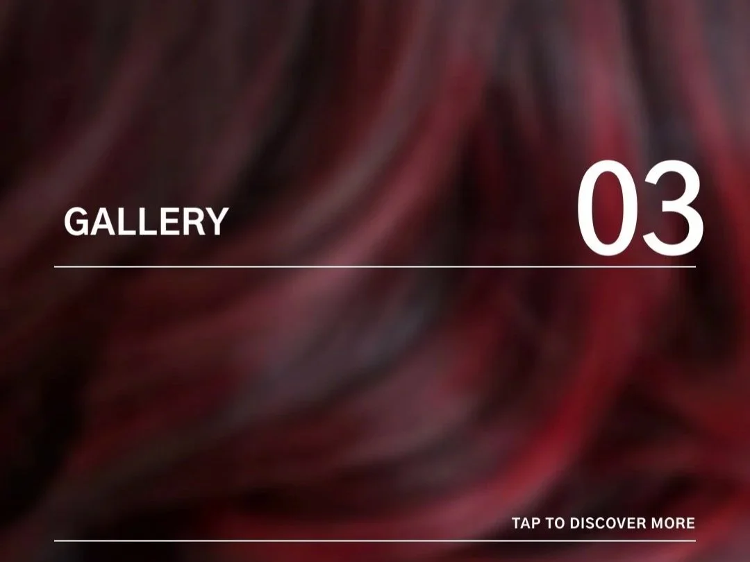 Gallary Salon Council.jpg