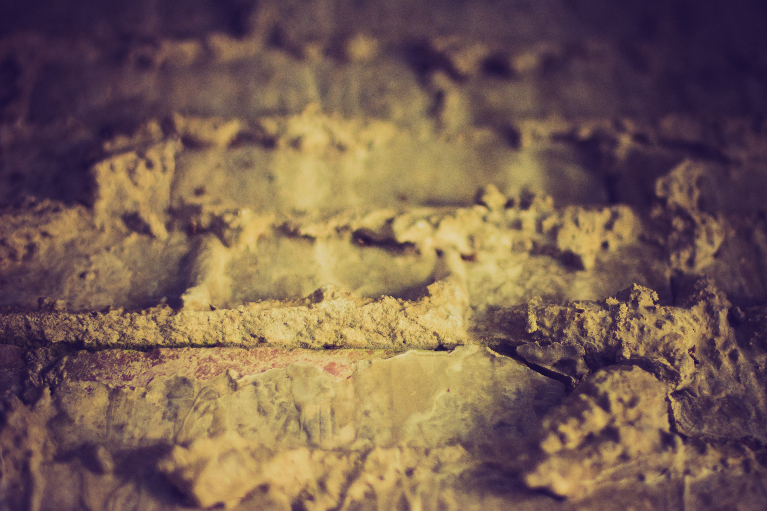 Huntington Beach State Park, South Carolina