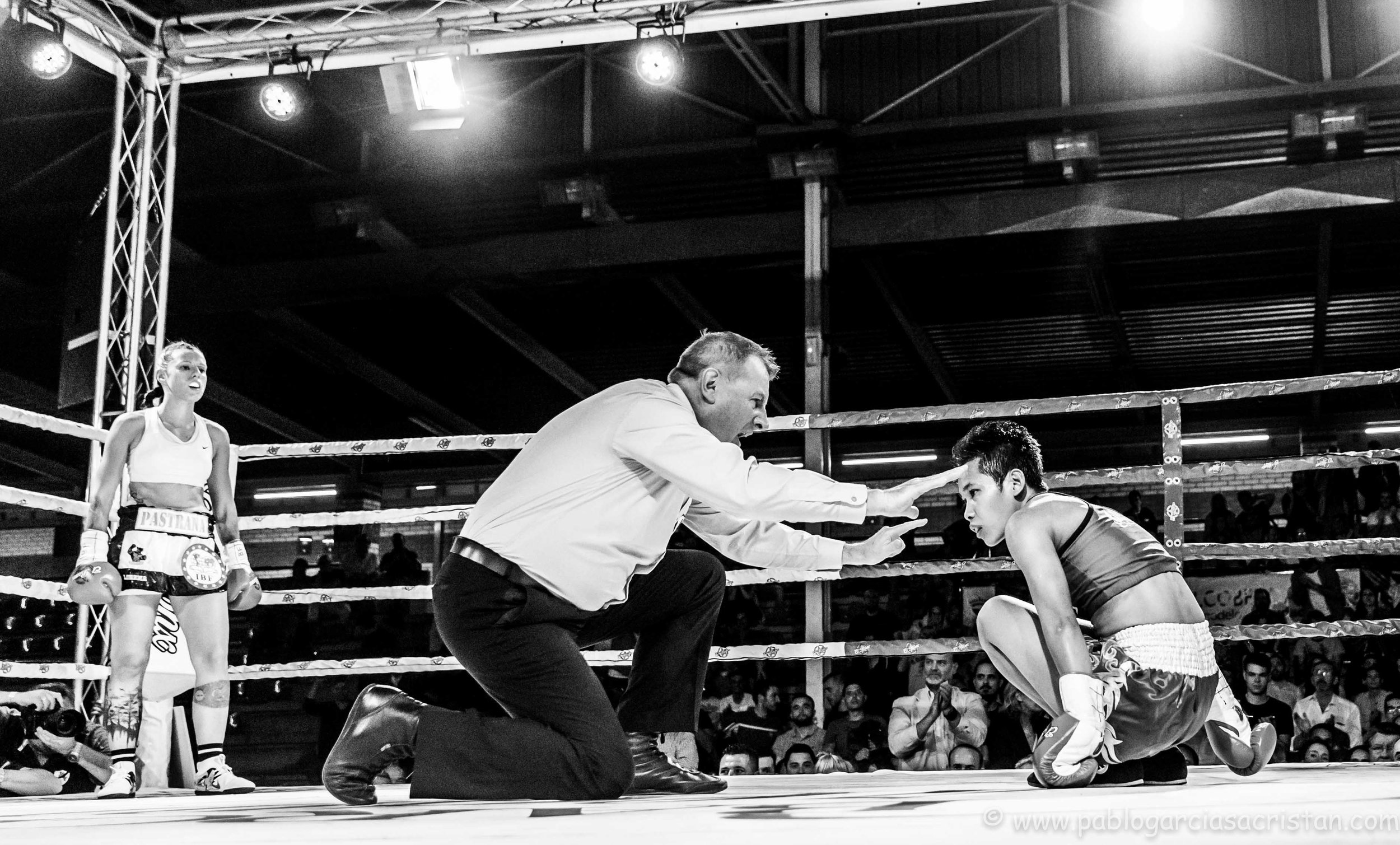 boxeo blanco y negro_18.jpg