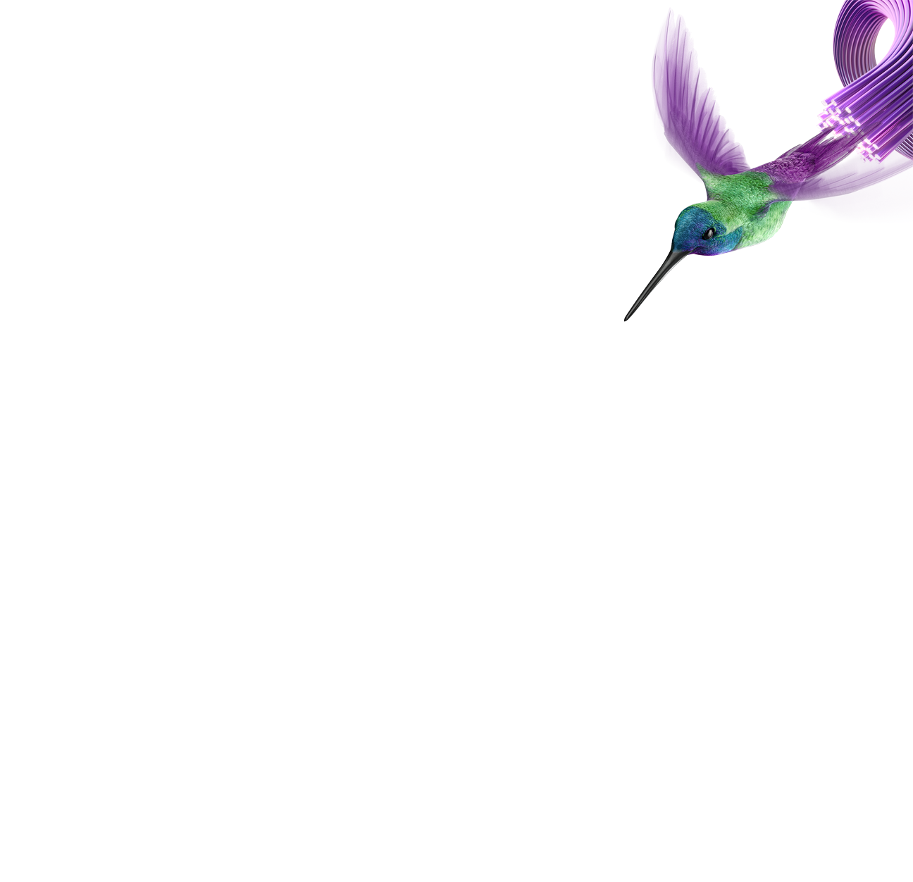 wifi splash screen image-small bird.png