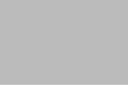 #bbbbbb / rgb(187, 187, 187)