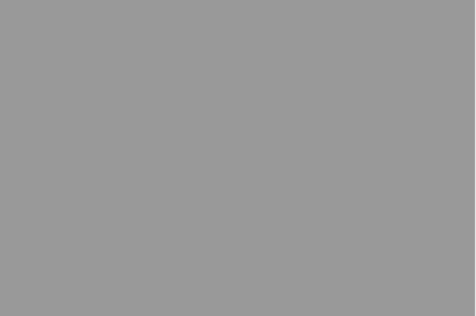 #999999 / rgb(153, 153, 153)