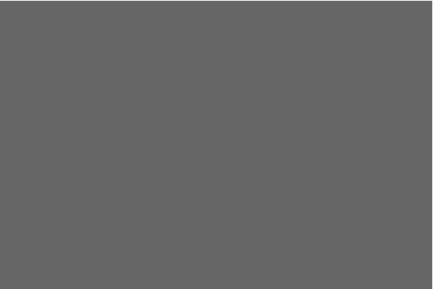 #666666 / rgb(102, 102, 102)