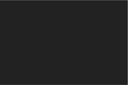 #222222 / rgb(34, 34, 34)